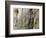 Pope John Paul II Rests His Hand on the Western Wall-null-Framed Photographic Print