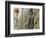 Pope John Paul II Rests His Hand on the Western Wall-null-Framed Photographic Print