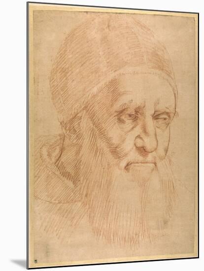 Pope Julius II, after a Cartoon by Raphael-Raphael-Mounted Giclee Print