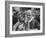 Pope Paul Vi, Officiating at Ash Wednesday Service in Santa Sabina Church-Carlo Bavagnoli-Framed Photographic Print