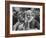 Pope Paul Vi, Officiating at Ash Wednesday Service in Santa Sabina Church-Carlo Bavagnoli-Framed Photographic Print