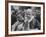 Pope Paul Vi, Officiating at Ash Wednesday Service in Santa Sabina Church-Carlo Bavagnoli-Framed Photographic Print