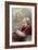 Pope Pius IX circa 1870-null-Framed Giclee Print