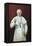 Pope Pius X-null-Framed Premier Image Canvas