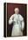 Pope Pius X-null-Framed Premier Image Canvas