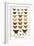 Poplar Admirals, Butterflies,-Albertus Seba-Framed Art Print