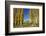 Poplar Trees and Farmland in Autumn, Near Lovells Flat, South Otago, South Island, New Zealand-David Wall-Framed Photographic Print