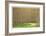 Poplar Trees and Road-Donald Paulson-Framed Giclee Print