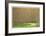 Poplar Trees and Road-Donald Paulson-Framed Giclee Print