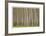 Poplar Trees-Donald Paulson-Framed Giclee Print
