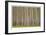 Poplar Trees-Donald Paulson-Framed Giclee Print