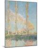 Poplars, 1891-Claude Monet-Mounted Premium Giclee Print