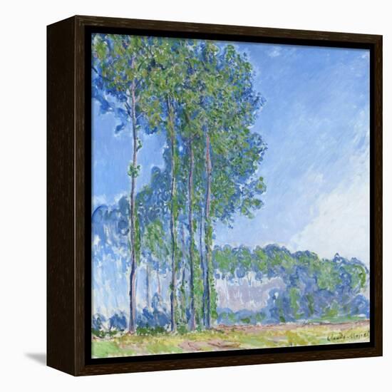 Poplars, 1891-Claude Monet-Framed Premier Image Canvas