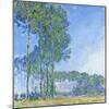 Poplars, 1891-Claude Monet-Mounted Giclee Print