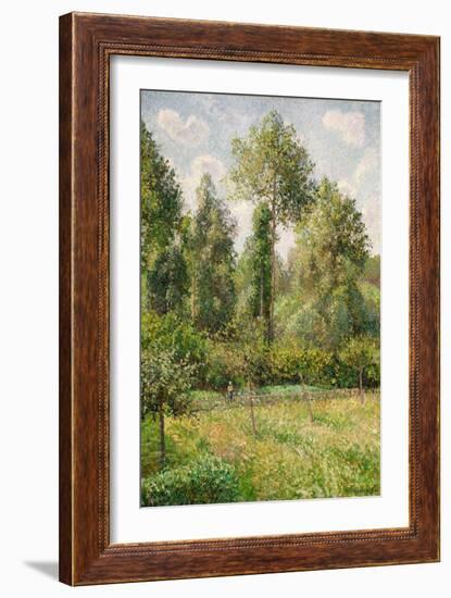 Poplars, Éragny, 1895-Camille Pissarro-Framed Giclee Print