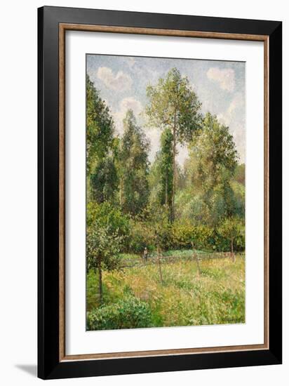 Poplars, Éragny, 1895-Camille Pissarro-Framed Giclee Print