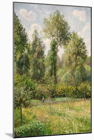 Poplars, Éragny, 1895-Camille Pissarro-Mounted Giclee Print