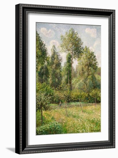 Poplars, Éragny, 1895-Camille Pissarro-Framed Giclee Print