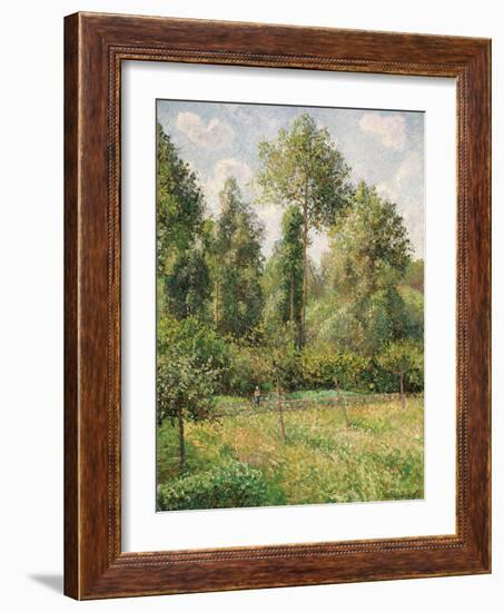 Poplars, Éragny-Camille Pissarro-Framed Giclee Print