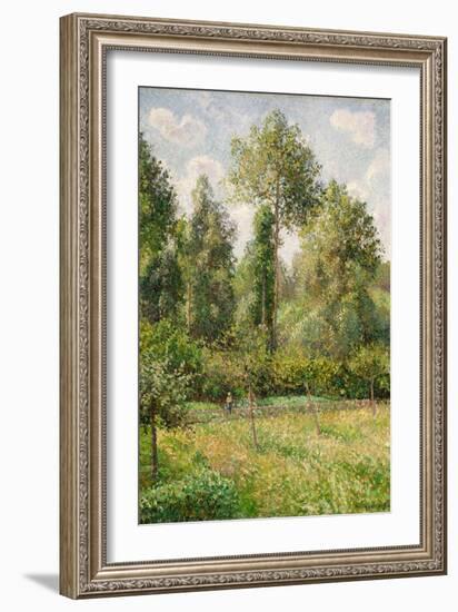 Poplars, Eragny-Camille Pissarro-Framed Art Print