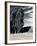 Poplars III-Chris Simpson-Framed Giclee Print