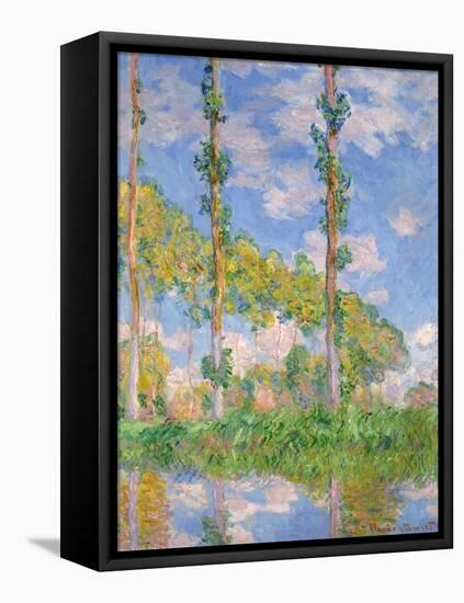 Poplars in the Sun, 1891-Claude Monet-Framed Premier Image Canvas