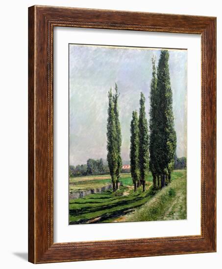 Poplars on the Riverbank at Argenteuil-Gustave Caillebotte-Framed Giclee Print