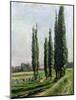 Poplars on the Riverbank at Argenteuil-Gustave Caillebotte-Mounted Giclee Print