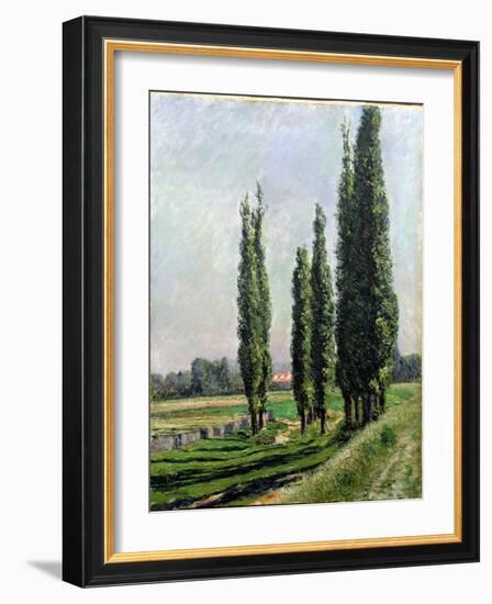 Poplars on the Riverbank at Argenteuil-Gustave Caillebotte-Framed Giclee Print