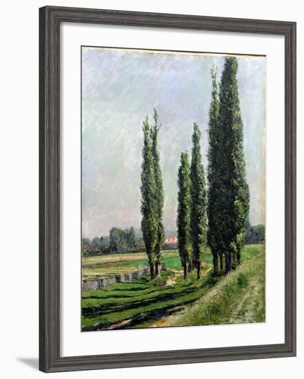 Poplars on the Riverbank at Argenteuil-Gustave Caillebotte-Framed Giclee Print