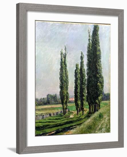 Poplars on the Riverbank at Argenteuil-Gustave Caillebotte-Framed Giclee Print