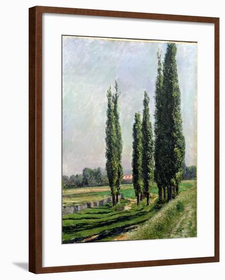 Poplars on the Riverbank at Argenteuil-Gustave Caillebotte-Framed Giclee Print