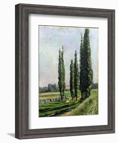 Poplars on the Riverbank at Argenteuil-Gustave Caillebotte-Framed Giclee Print