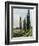 Poplars on the Riverbank at Argenteuil-Gustave Caillebotte-Framed Giclee Print