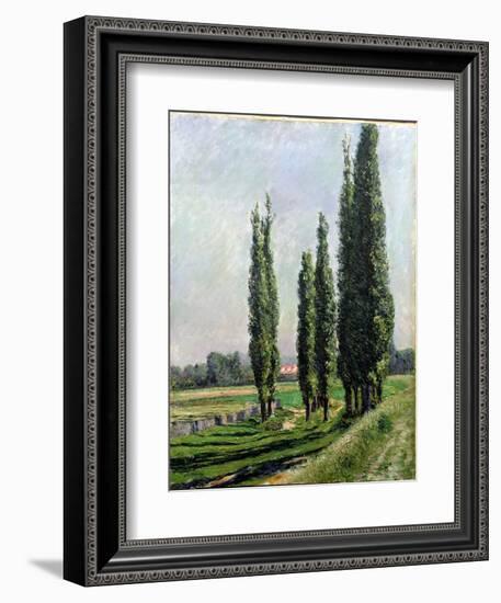 Poplars on the Riverbank at Argenteuil-Gustave Caillebotte-Framed Giclee Print