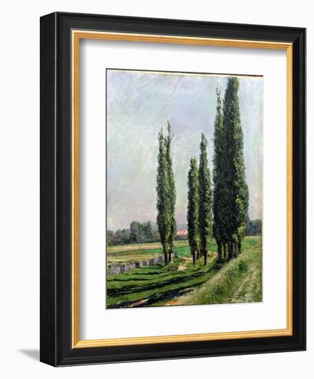 Poplars on the Riverbank at Argenteuil-Gustave Caillebotte-Framed Giclee Print