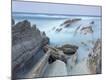 Premium Photographic Print