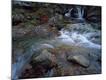 Photographic Print