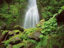 Waterfall, Mtirala National Park, Georgia, May 2008-Popp-Framed Photographic Print