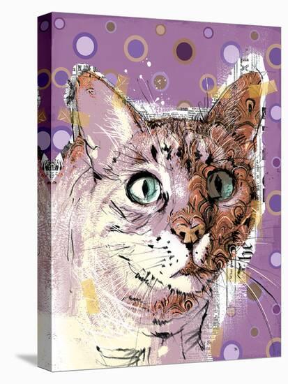 Poppet Cat I-Ken Hurd-Framed Stretched Canvas