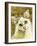 Poppet Cat III-Ken Hurd-Framed Giclee Print