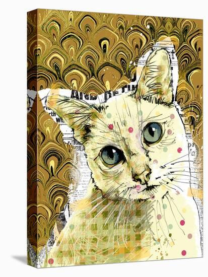 Poppet Cat III-Ken Hurd-Framed Stretched Canvas