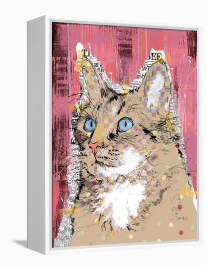 Poppet Cat IV-Ken Hurd-Framed Stretched Canvas