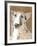 Poppet Dog III-Ken Hurd-Framed Giclee Print