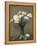Poppies, 1891-Ignace Henri Jean Fantin-Latour-Framed Premier Image Canvas