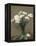 Poppies, 1891-Ignace Henri Jean Fantin-Latour-Framed Premier Image Canvas