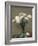 Poppies, 1891-Ignace Henri Jean Fantin-Latour-Framed Giclee Print