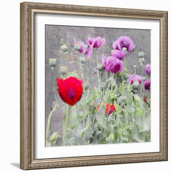 Poppies, 2018-Helen White-Framed Giclee Print