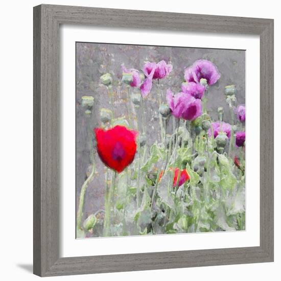 Poppies, 2018-Helen White-Framed Giclee Print