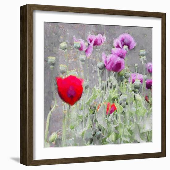 Poppies, 2018-Helen White-Framed Giclee Print